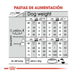 Royal Canin Digestive Care Mini Pienso Para Perros -Perros Artículos Tienda pienso perro royal canin digestive care ROY2447601208