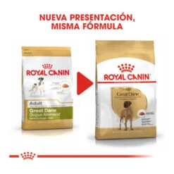 Royal Canin Adult Great Dane Pienso Para Perros -Perros Artículos Tienda pienso perro royal canin gran danes ROY158464 M 3