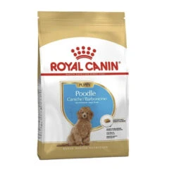 Royal Canin Poodle Puppy Pienso Para Perros