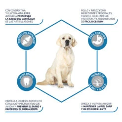 Affinity Advance Maxi Adult Active Defense Pollo Y Arroz Pienso Para Perros -Perros Artículos Tienda pienso perros affinity advance adult maxi beneficios ADV500316 M