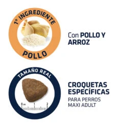 Affinity Advance Maxi Adult Active Defense Pollo Y Arroz Pienso Para Perros -Perros Artículos Tienda pienso perros affinity advance adult maxi tamano croqueta ADV500316 M