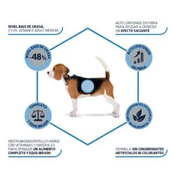 Affinity Advance Medium Light Pollo Y Arroz Pienso Para Perros -Perros Artículos Tienda pienso perros affinity advance adult medium light beneficios ADV509319 M