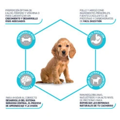 Affinity Advance Medium Puppy Pollo Y Arroz Pienso Para Perros -Perros Artículos Tienda pienso perros affinity advance puppy medium beneficios ADV507319 M