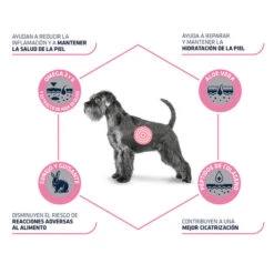 Affinity Advance Veterinary Diets Atopic Conejo Y Guisantes Pienso Para Perros -Perros Artículos Tienda pienso perros affinity advance veterinary diet atopic conejo guisantes beneficios ADV923533 M