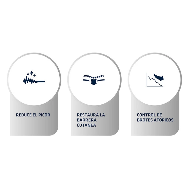 Affinity Advance Veterinary Diets Atopic Medium Maxi Trucha Pienso Para Perros 6 Affinity Advance Veterinary Diets Atopic Medium Maxi Trucha Pienso Para Perros - Imagen 4