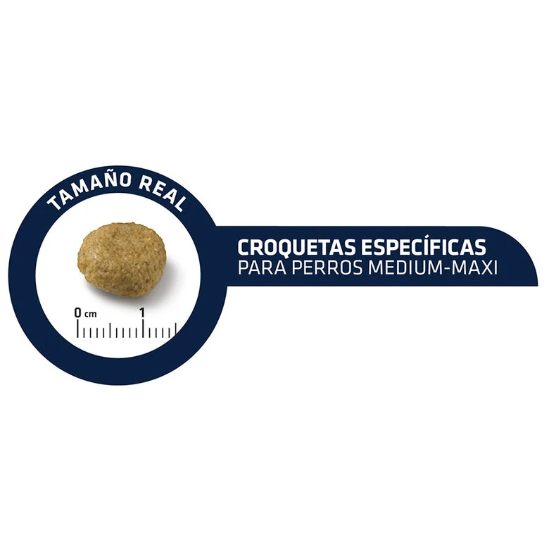 Affinity Advance Veterinary Diets Atopic Medium Maxi Trucha Pienso Para Perros 7 Affinity Advance Veterinary Diets Atopic Medium Maxi Trucha Pienso Para Perros - Imagen 5