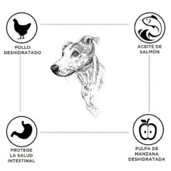 Criadores Adulto Pollo Y Arroz Pienso Para Perros De Raza Mediana -Perros Artículos Tienda pienso perros criadores mantenimiento CRD2319 M 1