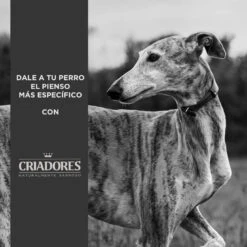 Criadores Adulto Pollo Y Arroz Pienso Para Perros De Raza Mediana -Perros Artículos Tienda pienso perros criadores mantenimiento CRD2319 M 3