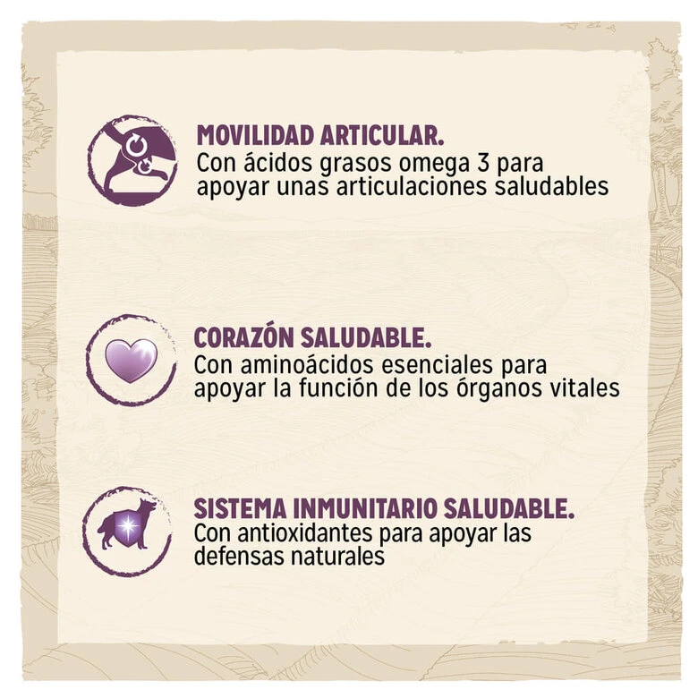 Purina Dog Chow Mature Senior Pollo Pienso Para Perros 4 Purina Dog Chow Mature Senior Pollo Pienso Para Perros - Imagen 2