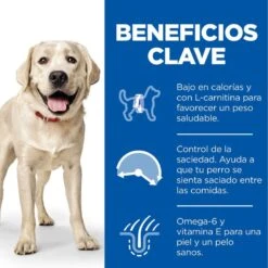 Hill's Science Plan Light Adult Pollo Pienso Para Perros -Perros Artículos Tienda pienso perros hills adult light pollo grande newpack HIL7545M JN23202