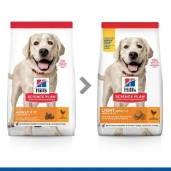 Hill's Science Plan Light Adult Pollo Pienso Para Perros -Perros Artículos Tienda pienso perros hills adult light pollo grande newpack HIL7545M JN23203