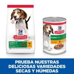 Hill's Science Plan Puppy Medium Pollo Pienso Para Perro -Perros Artículos Tienda pienso perros hills adult puppy pollo newpack HIL9263M JN23204