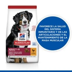 Hill's Science Plan Adult Large Pollo Pienso Para Perros -Perros Artículos Tienda pienso perros hills adult razas grandes newpack HIL1211M JN23202
