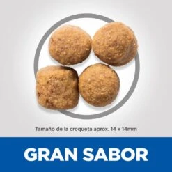 Hill's Science Plan Adult Large Pollo Pienso Para Perros -Perros Artículos Tienda pienso perros hills adult razas grandes newpack HIL1211M JN23204