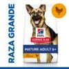Hill's Science Plan Mature Adult Large Pollo Pienso Para Perros -Perros Artículos Tienda pienso perros hills adult razas grandes pollo newpack HIL9274M M JN23201