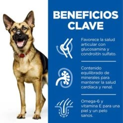 Hill's Science Plan Mature Adult Large Pollo Pienso Para Perros -Perros Artículos Tienda pienso perros hills adult razas grandes pollo newpack HIL9274M M JN23203