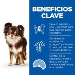 Hill's Science Plan Light Adult Small & Mini Pollo Pienso Para Perros -Perros Artículos Tienda pienso perros hills adult small mini HIL1699M 1204