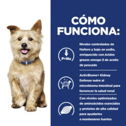 Hill's Prescription Diet Kidney Care Pienso Para Perros -Perros Artículos Tienda pienso perros hills prescription diet kidney care kd HIL8658M M JN23202