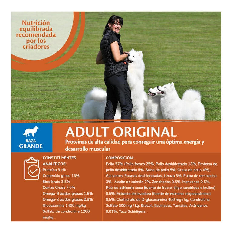 Wellness Core Adult Large Original Pollo Pienso Para Perros - Imagen 5