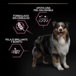 Purina Pro Plan Adult Medium Sensitive Skin Salmón Pienso Para Perros 14 Purina Pro Plan Adult Medium Sensitive Skin Salmón Pienso Para Perros -Perros Artículos Tienda pienso perros purina pro plan adult medium opti derma sensitive skin salmon PRO12028386 M 1202