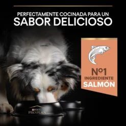 Purina Pro Plan Adult Medium Sensitive Skin Salmón Pienso Para Perros 18 Purina Pro Plan Adult Medium Sensitive Skin Salmón Pienso Para Perros -Perros Artículos Tienda pienso perros purina pro plan adult medium opti derma sensitive skin salmon PRO12028386 M 1206