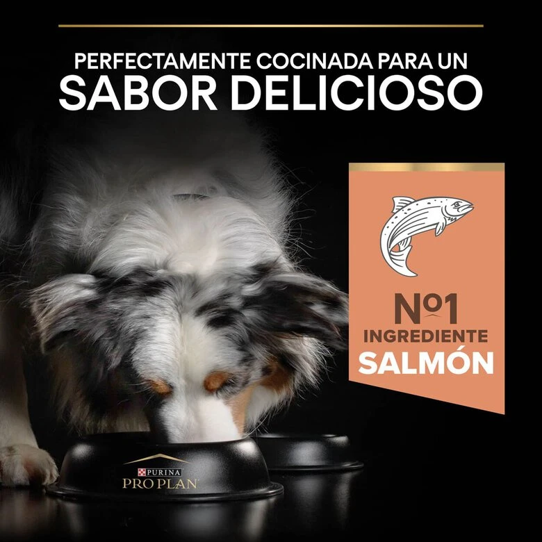 Purina Pro Plan Adult Medium Sensitive Skin Salmón Pienso Para Perros 9 Purina Pro Plan Adult Medium Sensitive Skin Salmón Pienso Para Perros - Imagen 7
