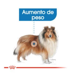 Royal Canin Light Weight Care Maxi Pienso Para Perros -Perros Artículos Tienda pienso perros royal20canin 20light20weight20care maxi ROY154032 M204