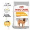 Royal Canin Dermacomfort Medium Pienso Para Perros -Perros Artículos Tienda pienso perros royal20canin medium dermacomfort ROY152761 M