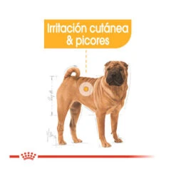 Royal Canin Dermacomfort Medium Pienso Para Perros -Perros Artículos Tienda pienso perros royal20canin medium dermacomfort ROY152761 M204
