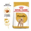 Royal Canin Adult Poodle Pienso Para Perros -Perros Artículos Tienda pienso perros royal20canin poodle adult caniche ROY156550 M 1