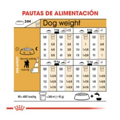 Royal Canin Adult Poodle Pienso Para Perros -Perros Artículos Tienda pienso perros royal20canin poodle adult caniche ROY156550 M 8