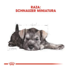 Royal Canin Puppy Miniature Schnauzer Pienso Para Perros 14 Royal Canin Puppy Miniature Schnauzer Pienso Para Perros -Perros Artículos Tienda pienso perros royal20canin schnauzer20miniatura junior ROY158536 M204