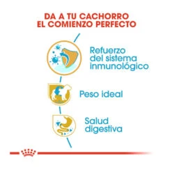 Royal Canin Puppy Miniature Schnauzer Pienso Para Perros 16 Royal Canin Puppy Miniature Schnauzer Pienso Para Perros -Perros Artículos Tienda pienso perros royal20canin schnauzer20miniatura junior ROY158536 M206