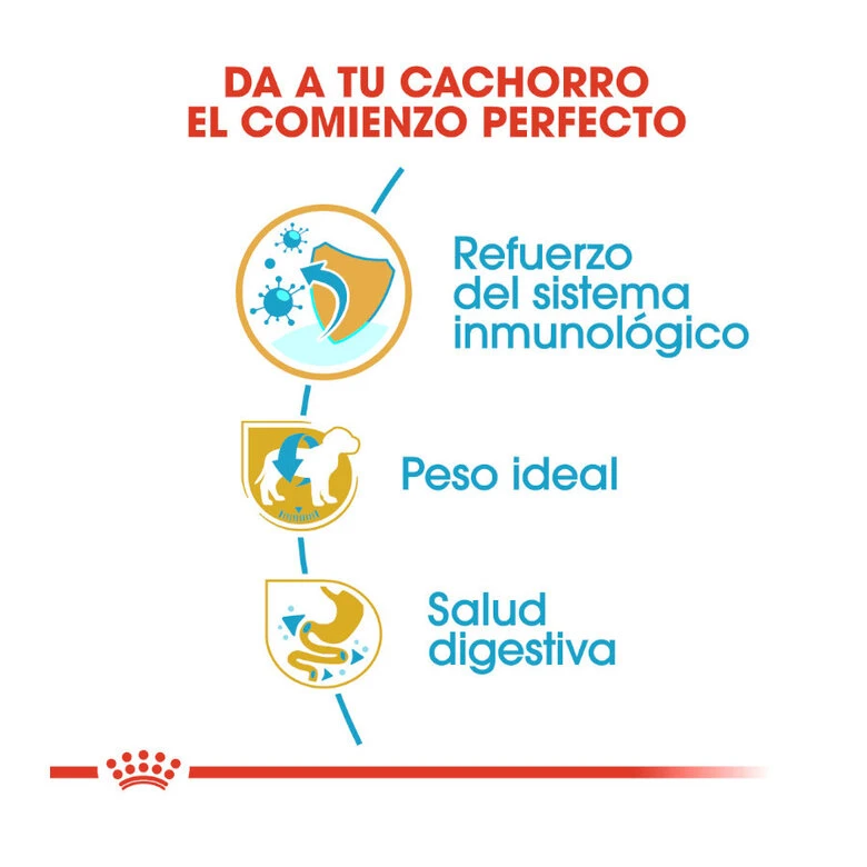 Royal Canin Puppy Miniature Schnauzer Pienso Para Perros 8 Royal Canin Puppy Miniature Schnauzer Pienso Para Perros - Imagen 6