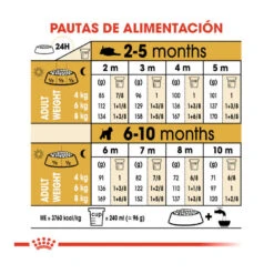 Royal Canin Puppy Miniature Schnauzer Pienso Para Perros 19 Royal Canin Puppy Miniature Schnauzer Pienso Para Perros -Perros Artículos Tienda pienso perros royal20canin schnauzer20miniatura junior ROY158536 M209