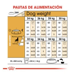 Royal Canin Adult Boxer Pienso Para Perros -Perros Artículos Tienda pienso perros royal canin adult boxer ROY156932 M 7