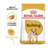 Royal Canin Adult Bulldog Pienso Para Perros -Perros Artículos Tienda pienso perros royal canin adult bulldog ROY157332 M 1