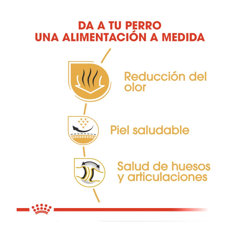 Royal Canin Adult Bulldog Pienso Para Perros 8 Royal Canin Adult Bulldog Pienso Para Perros - Imagen 6