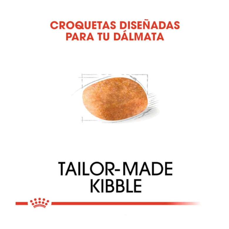 Royal Canin Adult Dálmata Pienso Para Perros 7 Royal Canin Adult Dálmata Pienso Para Perros - Imagen 5