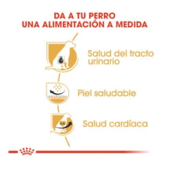 Royal Canin Adult Dálmata Pienso Para Perros 15 Royal Canin Adult Dálmata Pienso Para Perros -Perros Artículos Tienda pienso perros royal canin adult dalmata ROY159664 M 6