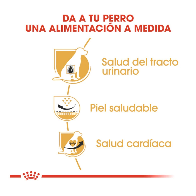 Royal Canin Adult Dálmata Pienso Para Perros 8 Royal Canin Adult Dálmata Pienso Para Perros - Imagen 6