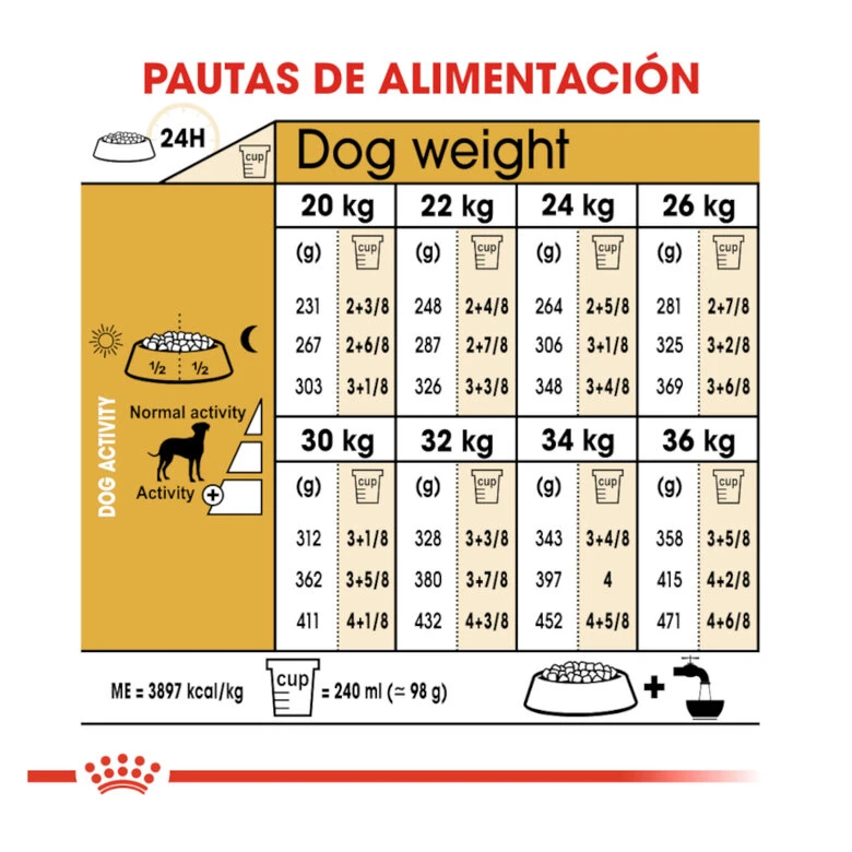Royal Canin Adult Dálmata Pienso Para Perros 10 Royal Canin Adult Dálmata Pienso Para Perros - Imagen 8
