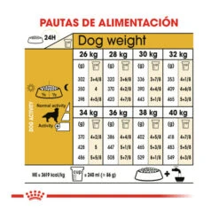 Royal Canin Adult Golden Retriever Pienso Para Perros 17 Royal Canin Adult Golden Retriever Pienso Para Perros -Perros Artículos Tienda pienso perros royal canin adult golden retriever 41173 M 8