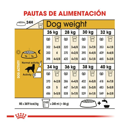 Royal Canin Adult Golden Retriever Pienso Para Perros 10 Royal Canin Adult Golden Retriever Pienso Para Perros - Imagen 8