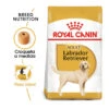 Royal Canin Adult Labrador Retriever Pienso Para Perros -Perros Artículos Tienda pienso perros royal canin adult labrador retriever 4152 M 1