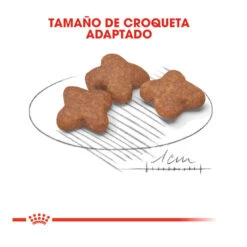 Royal Canin Mini +8 Adult Pienso Para Perros -Perros Artículos Tienda pienso perros royal canin adult mini 8 ROY150730 M203