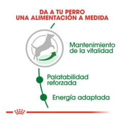 Royal Canin Mini +8 Adult Pienso Para Perros -Perros Artículos Tienda pienso perros royal canin adult mini 8 ROY150730 M204