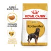 Royal Canin Adult Rottweiler Pienso Para Perros -Perros Artículos Tienda pienso perros royal canin adult rottweiler 41705 M 1