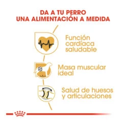 Royal Canin Adult Rottweiler Pienso Para Perros -Perros Artículos Tienda pienso perros royal canin adult rottweiler 41705 M 6