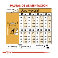 Royal Canin Adult Rottweiler Pienso Para Perros -Perros Artículos Tienda pienso perros royal canin adult rottweiler 41705 M 8